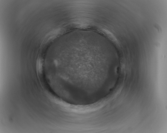 X0000113950026200910091618
