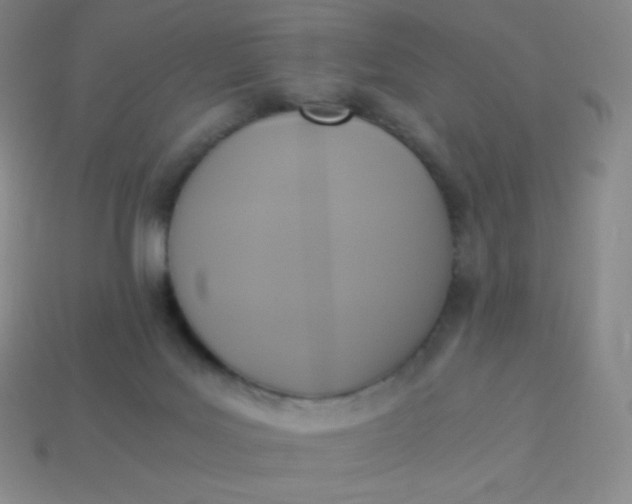 X0000113950027200910091618