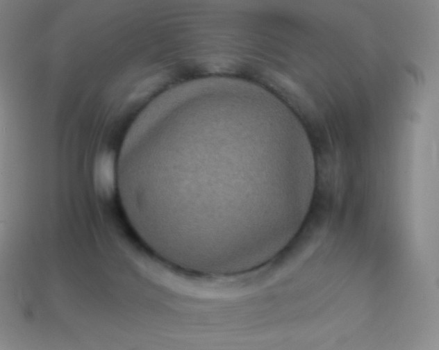 X0000113950028200910091618