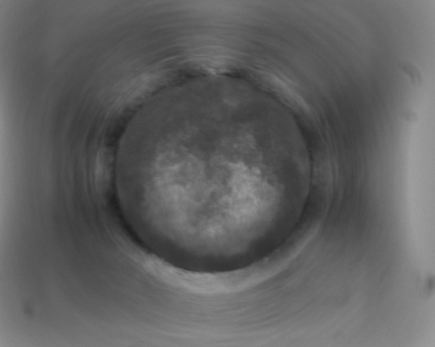 X0000113950030200910091618