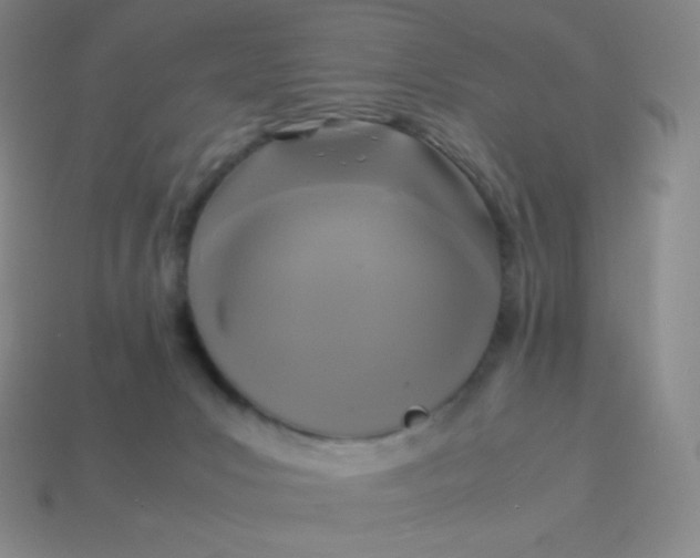 X0000113950031200910091618