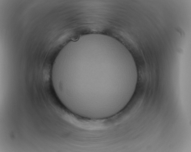 X0000113950032200910091618