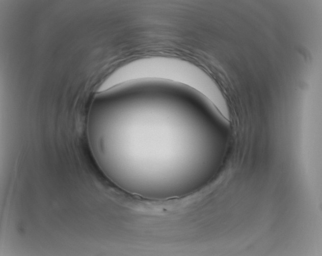 X0000113950033200910091618