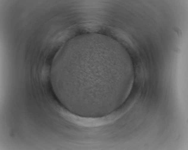 X0000113950034200910091618