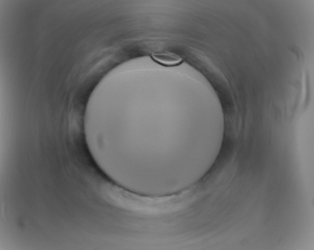 X0000113950035200910091618