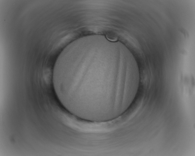 X0000113950036200910091618