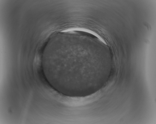 X0000113950037200910091618