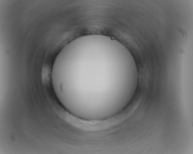X0000113950038200910091618