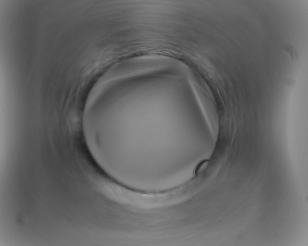 X0000113950039200910091618