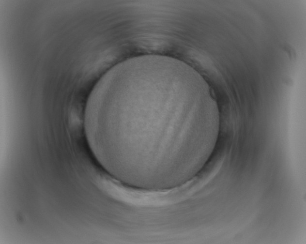 X0000113950040200910091618