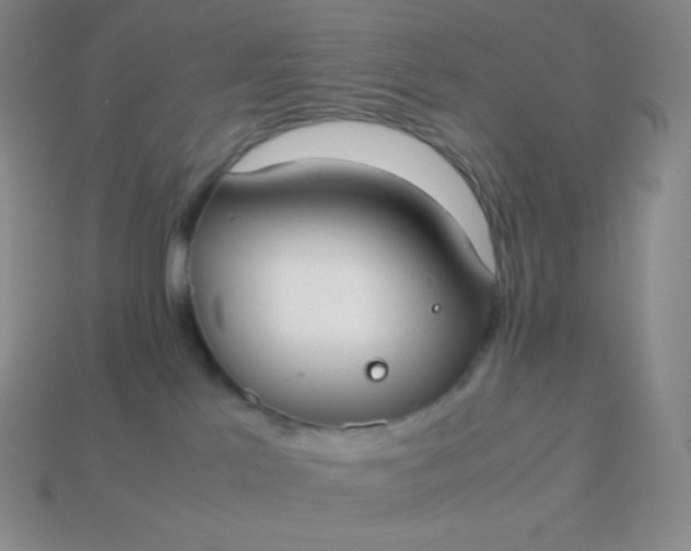 X0000113950041200910091618