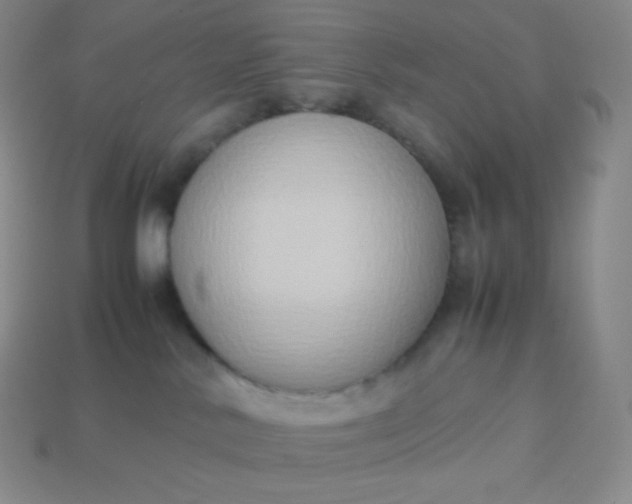 X0000113950042200910091618
