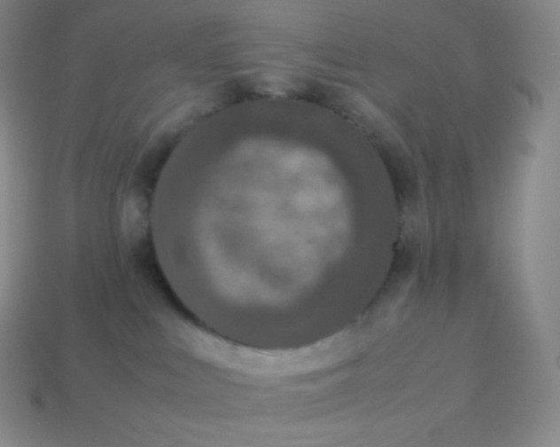 X0000113950043200910091618