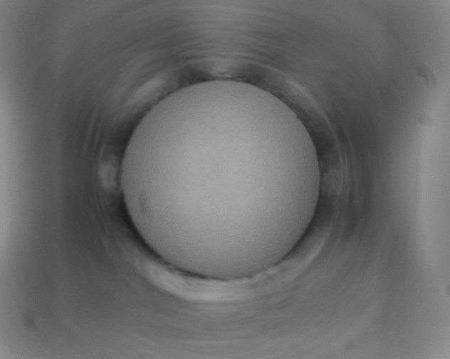 X0000113950044200910091618