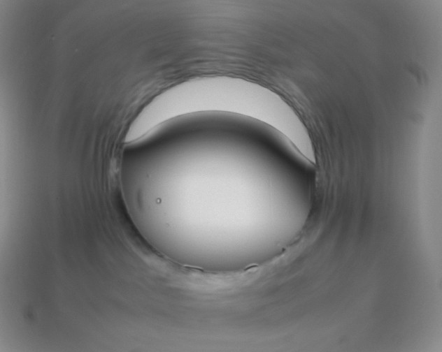 X0000113950045200910091618