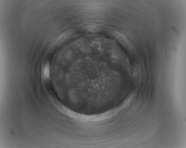 X0000113950046200910091618