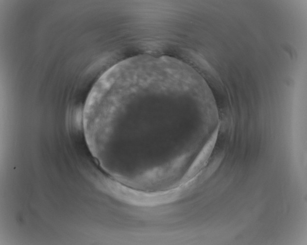X0000113950047200910091618