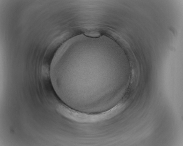 X0000113950048200910091618