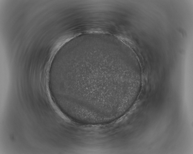 X0000113950049200910091617