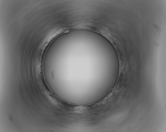 X0000113950050200910091617