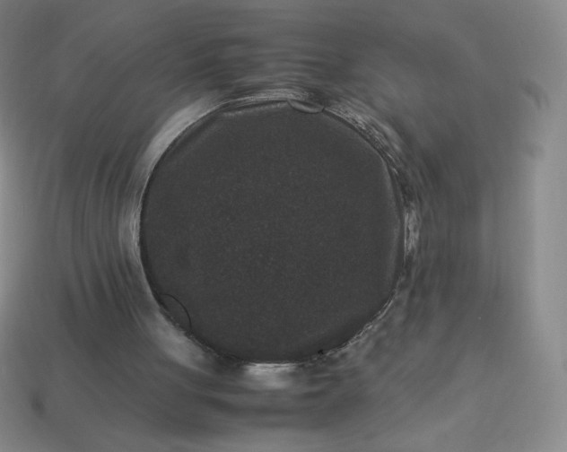 X0000113950051200910091617