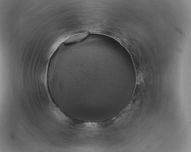 X0000113950052200910091617