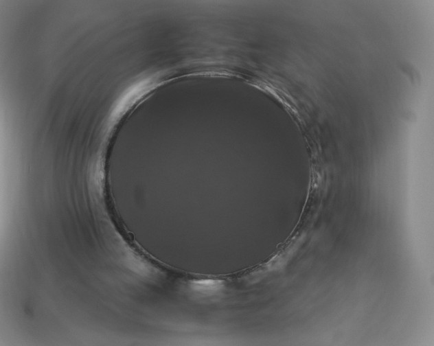 X0000113950053200910091617