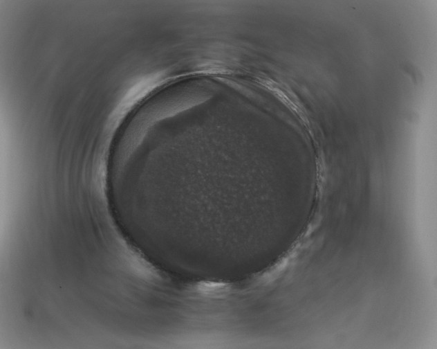 X0000113950055200910091617