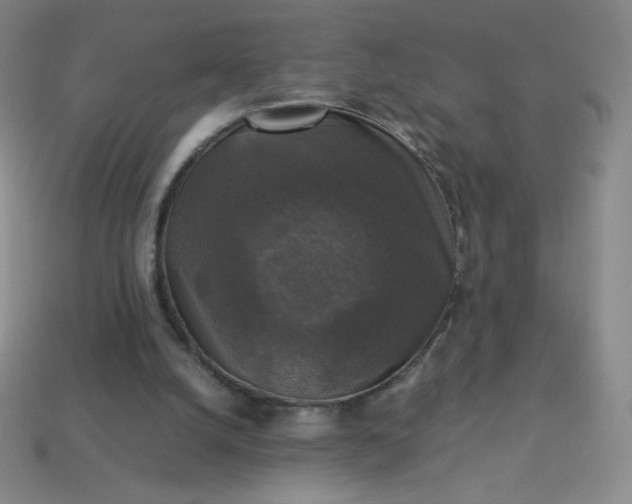 X0000113950056200910091617