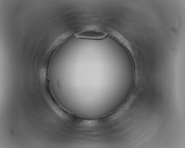 X0000113950057200910091617
