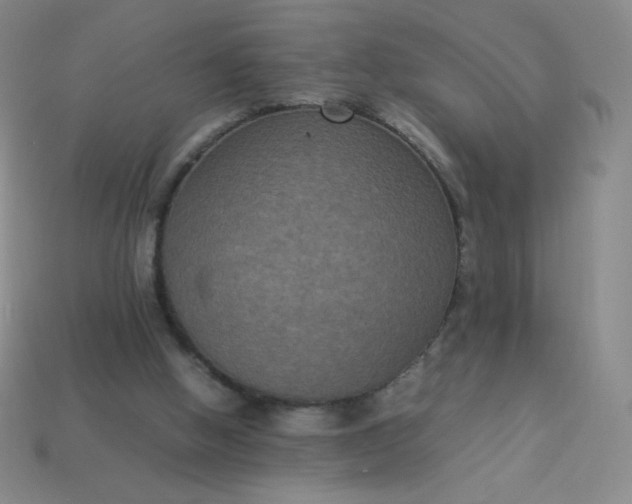 X0000113950058200910091617