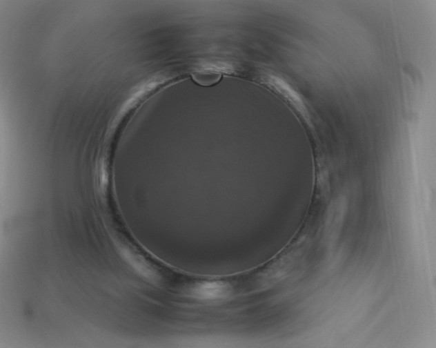 X0000113950059200910091617