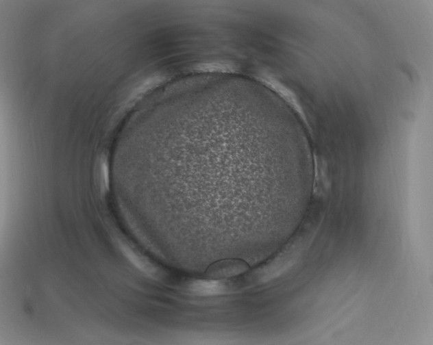 X0000113950061200910091617