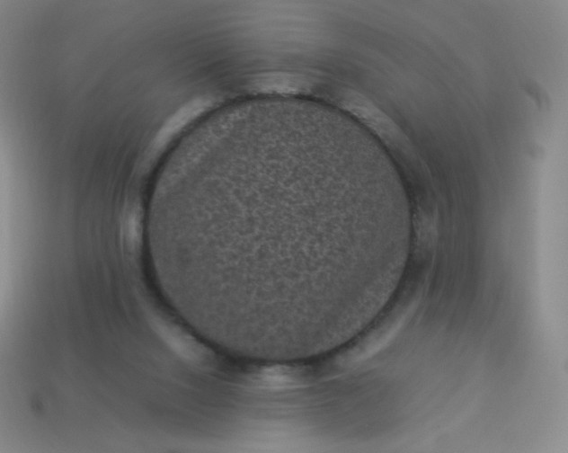 X0000113950064200910091617