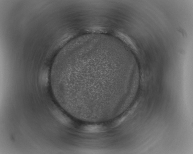 X0000113950065200910091617