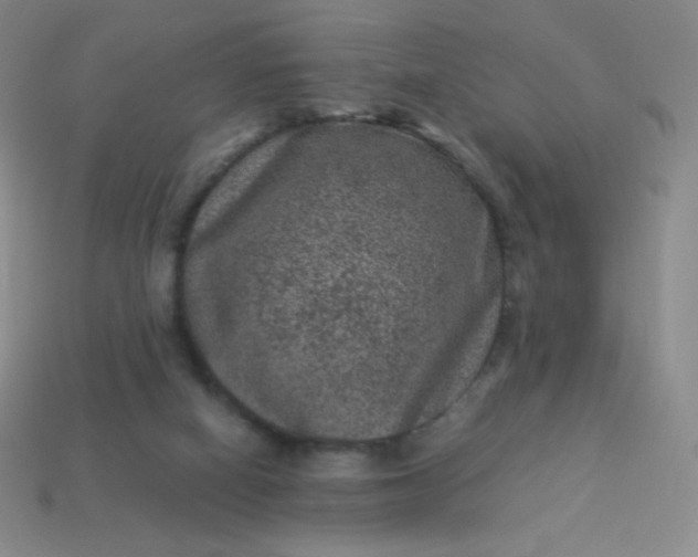 X0000113950066200910091617