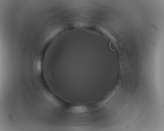 X0000113950067200910091617