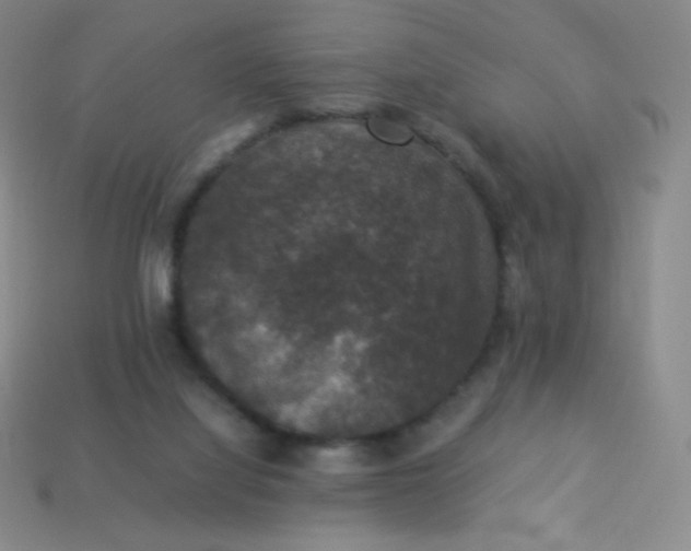 X0000113950068200910091617
