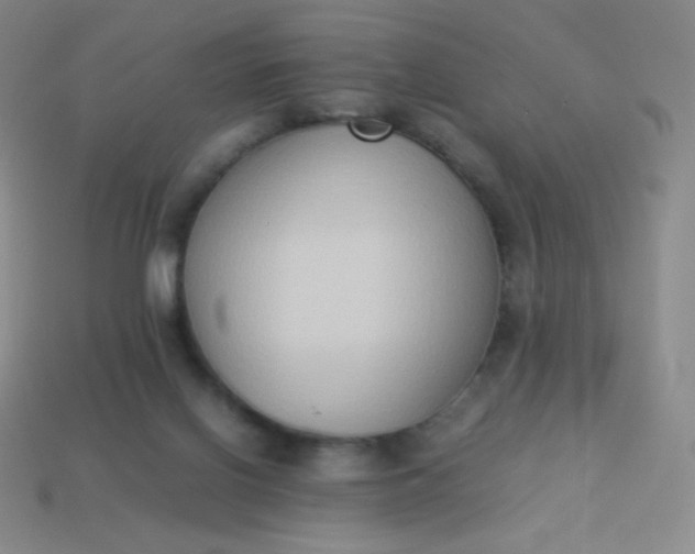 X0000113950070200910091617