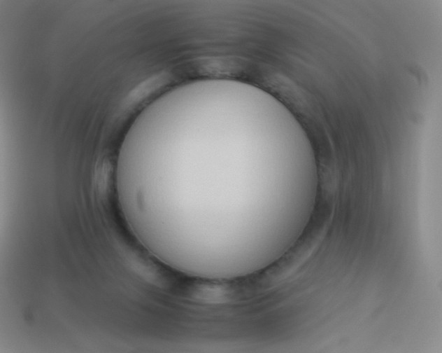 X0000113950071200910091617