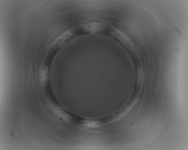 X0000113950073200910091617