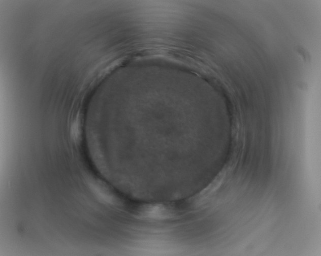 X0000113950074200910091617