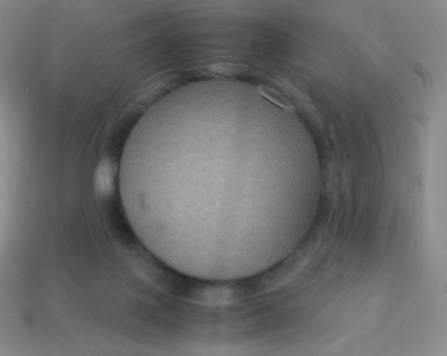 X0000113950075200910091617