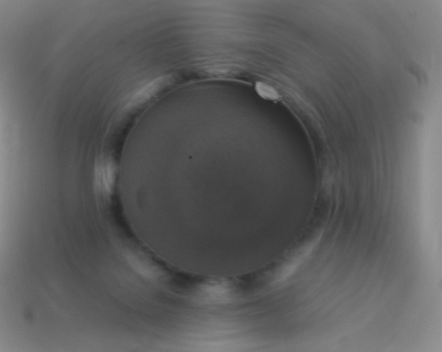 X0000113950076200910091617