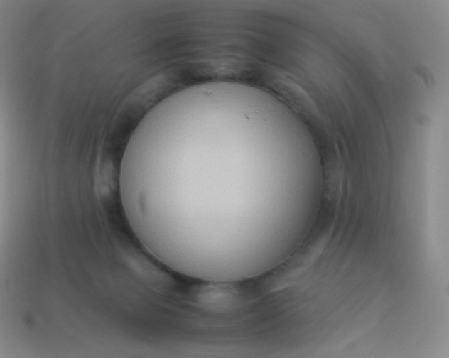 X0000113950077200910091617