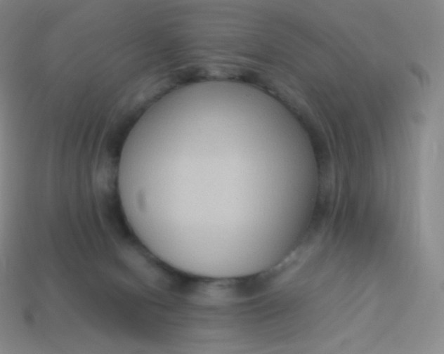 X0000113950078200910091617
