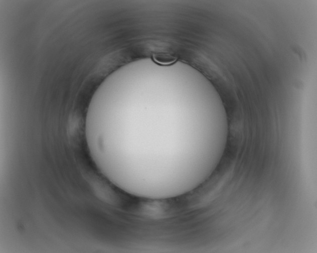 X0000113950079200910091617
