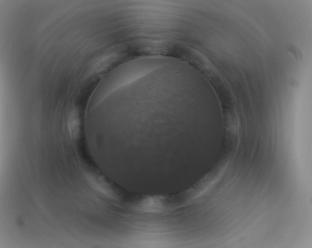 X0000113950080200910091617