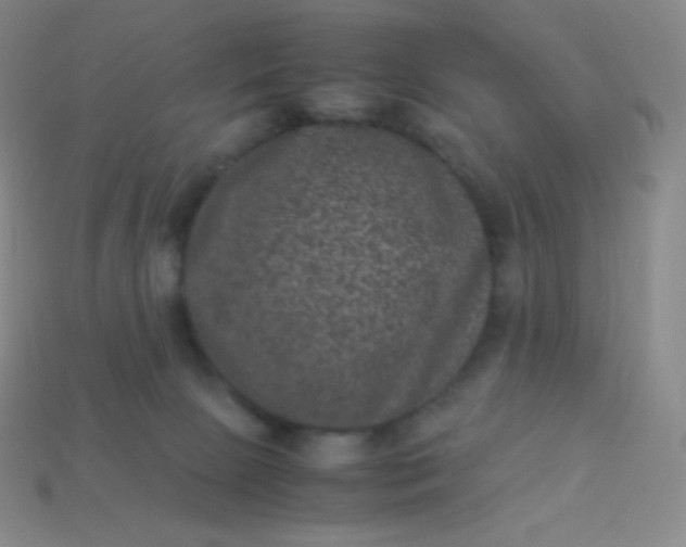 X0000113950081200910091617