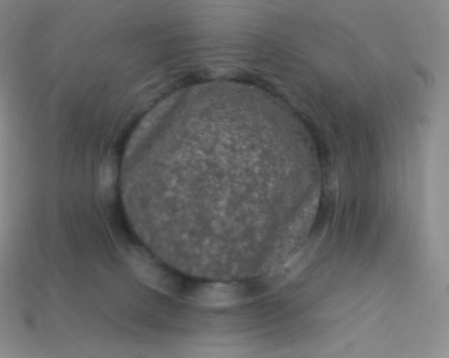 X0000113950082200910091617